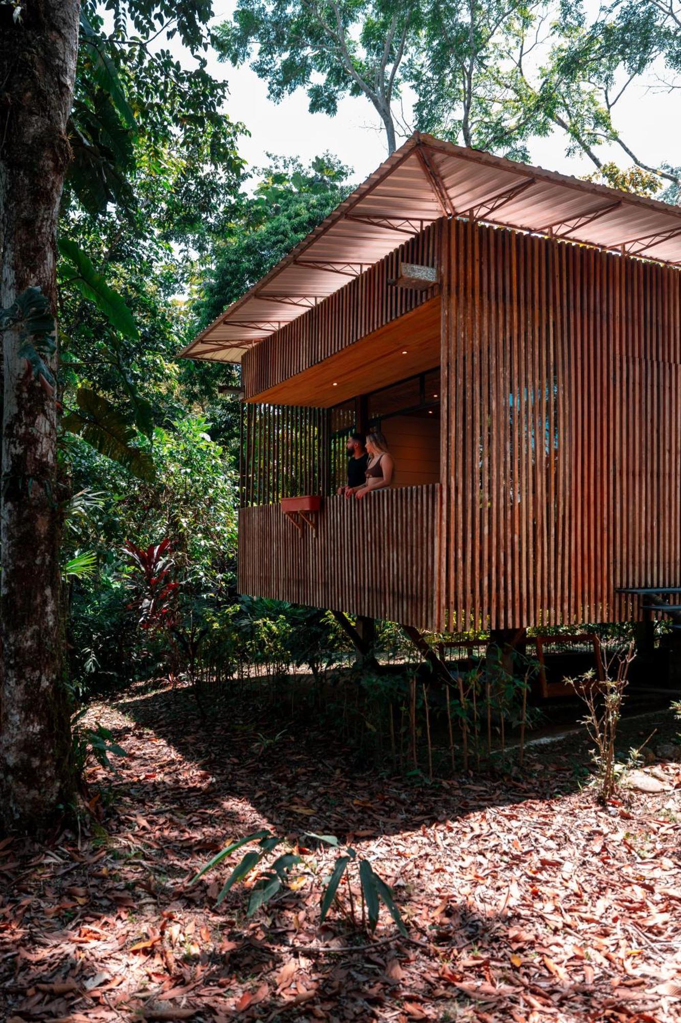Hamadryade Lodge Puerto Misahuallí Exterior foto
