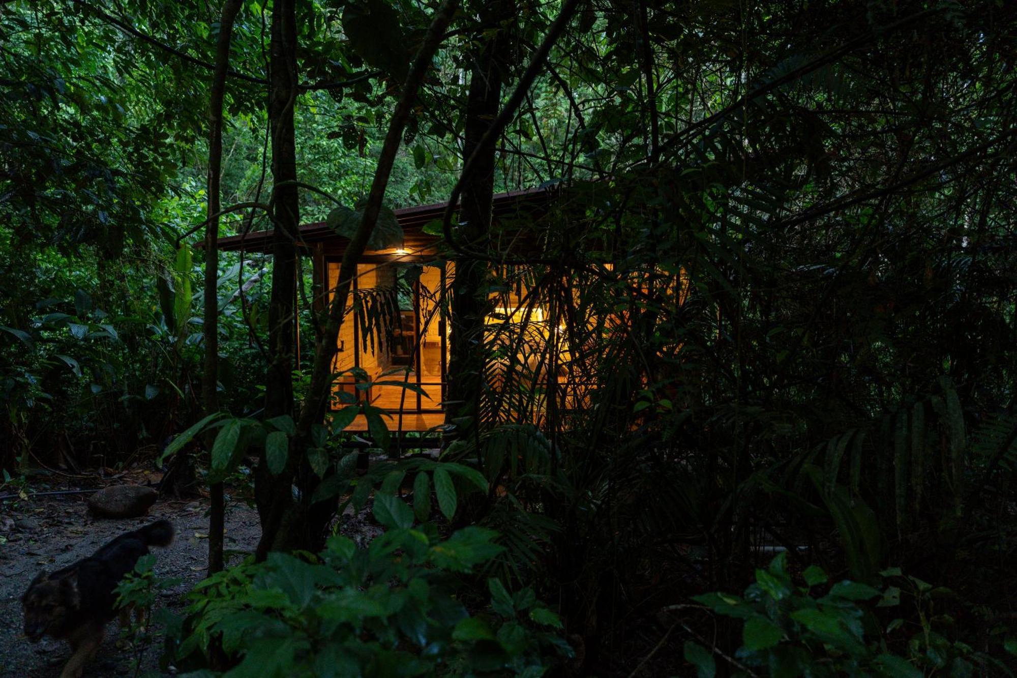 Hamadryade Lodge Puerto Misahuallí Exterior foto